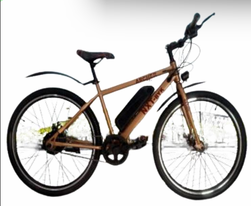 Archer E-cycle